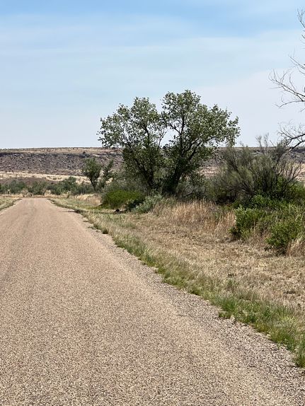 Land for sale in Potter County, Texas