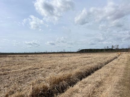 Land for sale in Bertie County, North Carolina