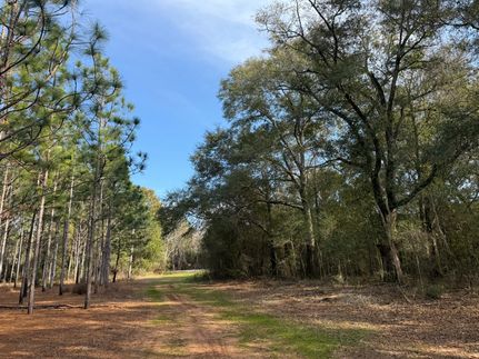 Undeveloped Land for sale in Sumter County, Georgia