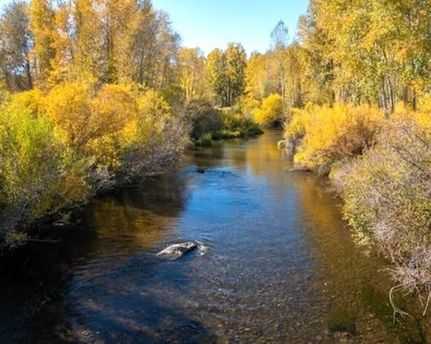 Land for sale in Trinity County, California