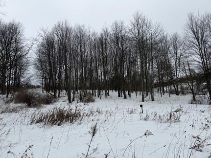 Commercial Property for sale in Elk County, Pennsylvania