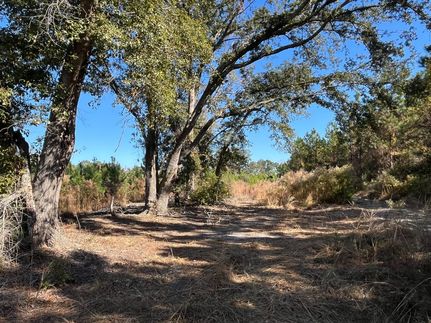 Land for sale in Ware County, Georgia