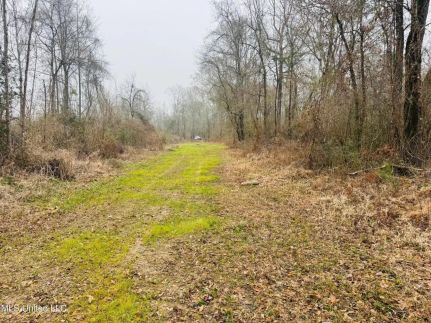Undeveloped Land for sale in Walthall County, Mississippi