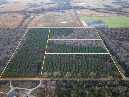 Undeveloped Land for sale in Bowie County, Texas