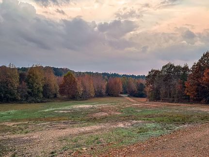 Land for sale in McNairy County, Tennessee