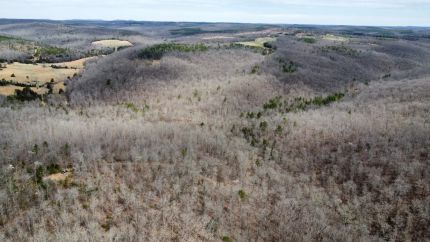 Timberland Property for sale in Van Buren County, Arkansas