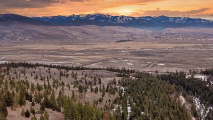 Undeveloped Land for sale in Missoula County, Montana