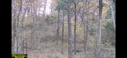 Farm and Ranch for sale in Pope County, Illinois