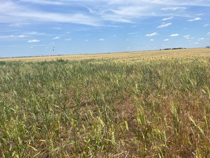 Land for sale in Texas County, Oklahoma