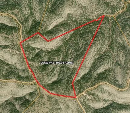 Land for sale in Val Verde County, Texas