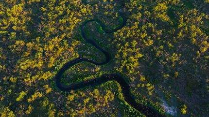 Land for sale in Throckmorton County, Texas