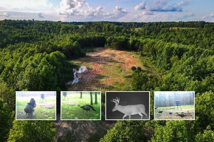 Farm and Ranch for sale in Franklin County, Alabama