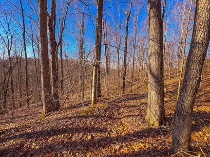 Timberland Property for sale in Lewis County, West Virginia