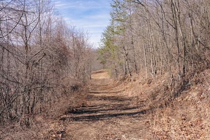 Undeveloped Land for sale in Bedford County, Virginia