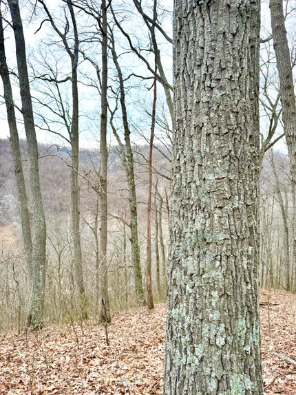Farm and Ranch for sale in Pike County, Ohio