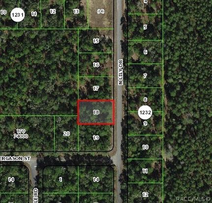 Hunting Property for sale in Citrus County, Florida