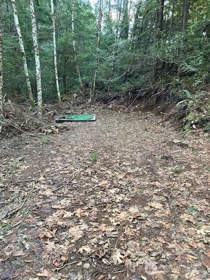 Land for sale in Mason County, Washington