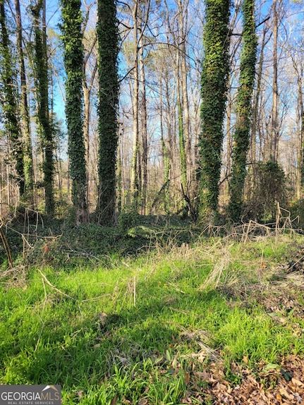 Land for sale in Gwinnett County, Georgia