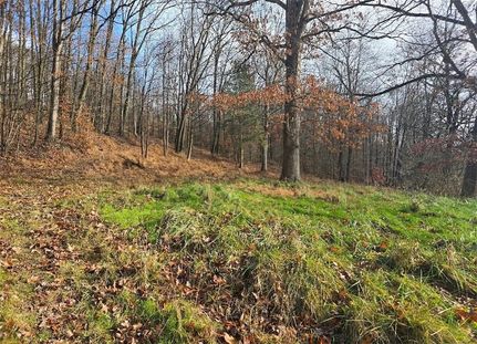 Hunting Property for sale in Armstrong County, Pennsylvania