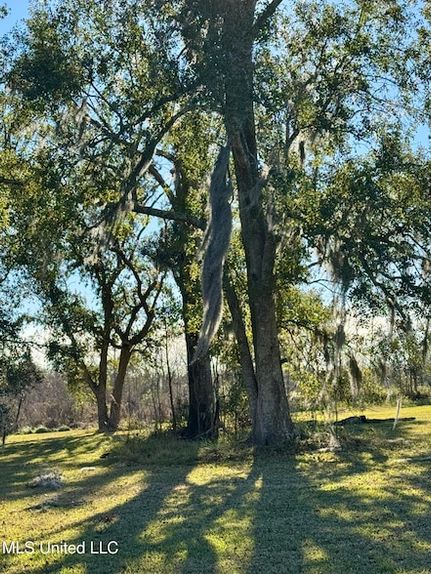 Timberland Property for sale in Hancock County, Mississippi