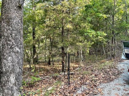 Homesite for sale in Ozark County, Missouri