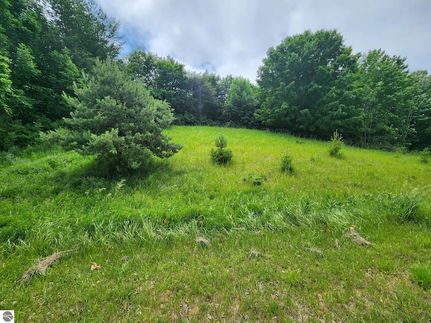 Homesite for sale in Benzie County, Michigan