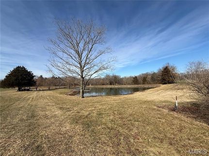 Undeveloped Land for sale in Randolph County, Illinois