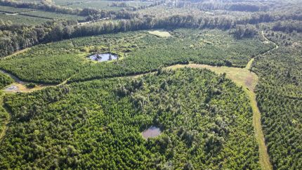 Land for sale in Clay County, Mississippi