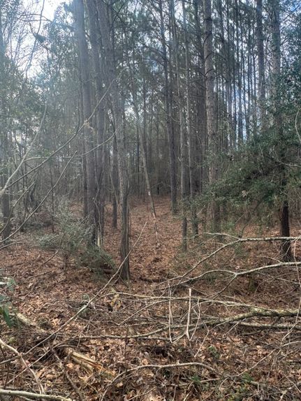 Land for sale in Simpson County, Mississippi