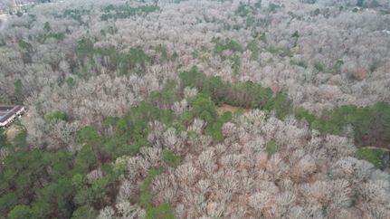 Land for sale in Simpson County, Mississippi