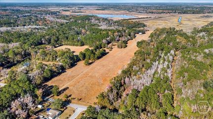 Timberland Property for sale in Liberty County, Georgia