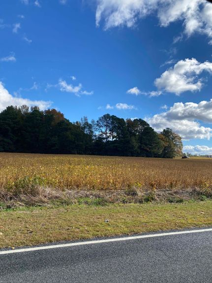 Undeveloped Land for sale in Harnett County, North Carolina