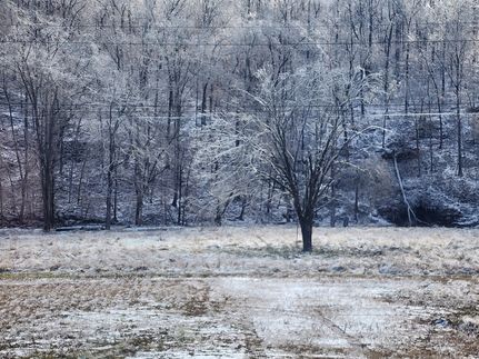 Land for sale in Wayne County, Tennessee