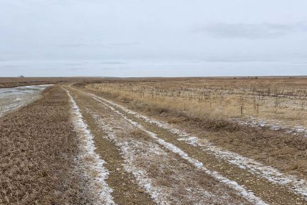 Undeveloped Land for sale in Butte County, South Dakota