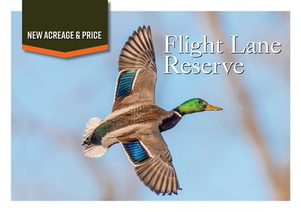 Land for sale in Woodruff County, Arkansas