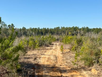 Land for sale in Washington County, Alabama