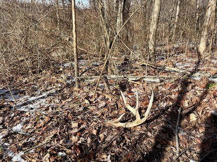 Land for sale in Washington County, Pennsylvania