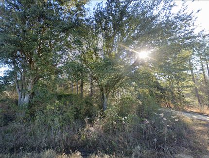 Homesite for sale in Worth County, Georgia