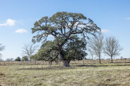 Homesite for sale in Fayette County, Texas