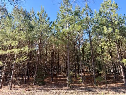 Farm and Ranch for sale in Smith County, Texas
