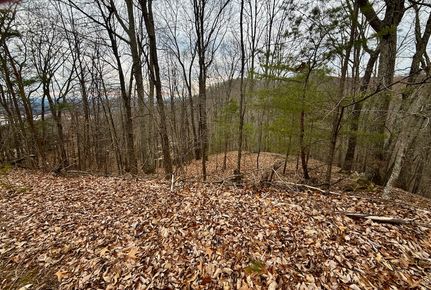Land for sale in Hawkins County, Tennessee