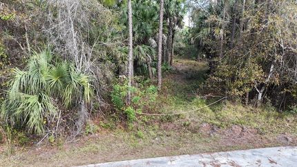 Undeveloped Land for sale in Collier County, Florida