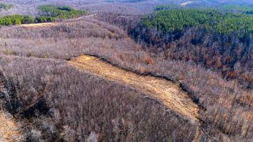 Land for sale in Houston County, Tennessee