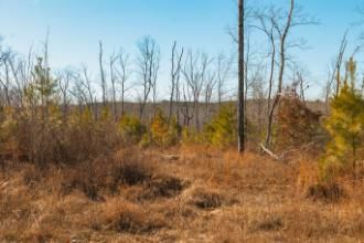 Recreational Property for sale in Houston County, Tennessee