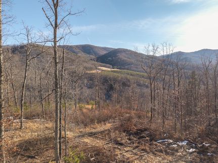Timberland Property for sale in Alleghany County, Virginia
