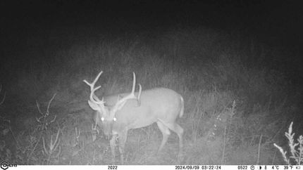 Recreational Property for sale in Franklin County, Illinois