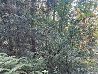 Land for sale in Kitsap County, Washington