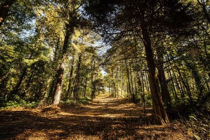 Recreational Property for sale in Marshall County, Mississippi