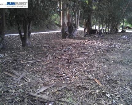Undeveloped Land for sale in Alameda County, California