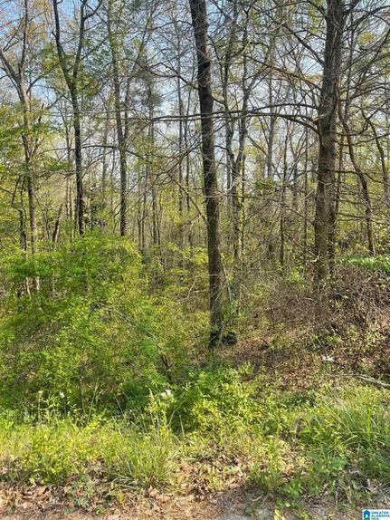 Homesite for sale in Cleburne County, Alabama
